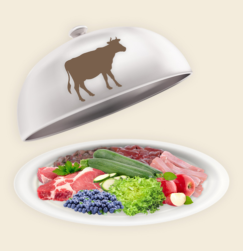 Teller mit Fertigmenü Teller mit Fertigmenü