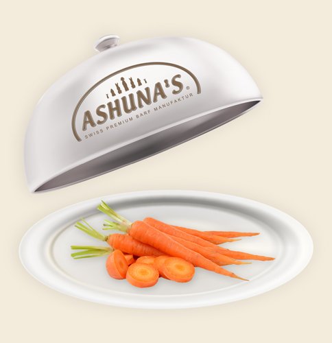 Teller mit pflanzlichen Zutaten Teller mit pflanzlichen Zutaten