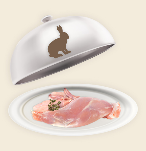 Teller mit tierischen Zutaten Teller mit tierischen Zutaten